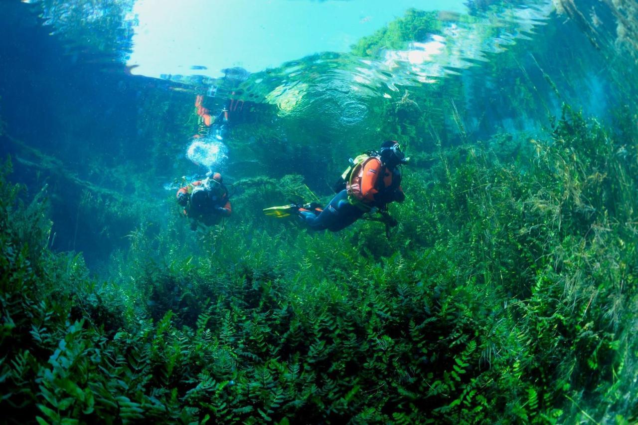 Casa Rosamari - Su Lago Di Posta Fibreno, Appartamento Con Camino Eksteriør bilde