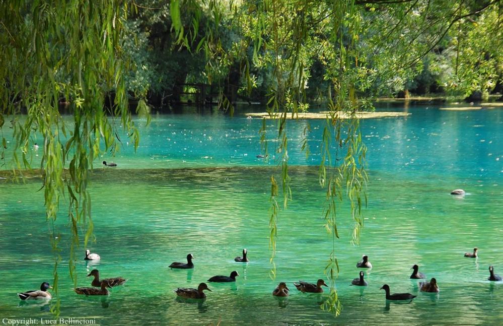 Casa Rosamari - Su Lago Di Posta Fibreno, Appartamento Con Camino Eksteriør bilde
